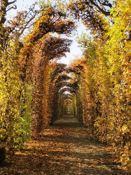 Wien (225).JPG